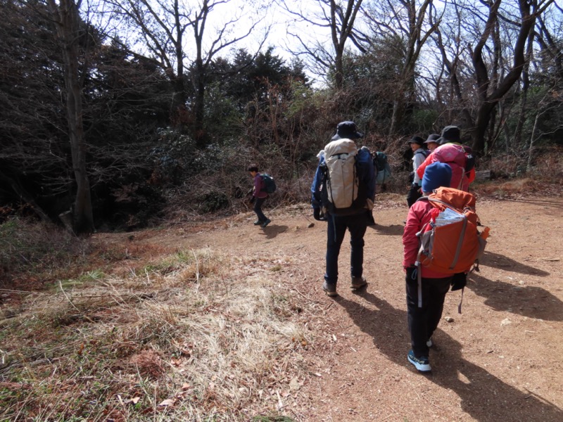 日和田山、物見山